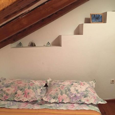 Apartment Dimitrijevic マカルスカ エクステリア 写真